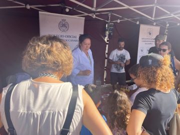 Encender la chispa de la curiosidad